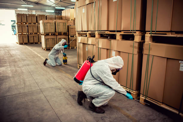 Best Local Pest Control Services  in Pleasantville, NY