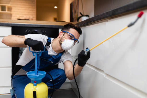 Best Residential Pest Control  in Pleasantville, NY