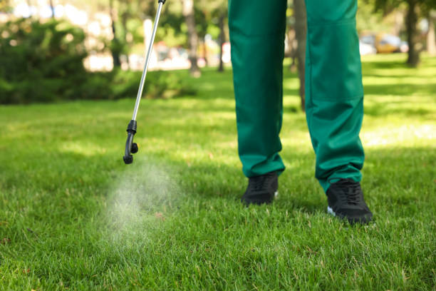 Best Spider Control Near Me  in Pleasantville, NY