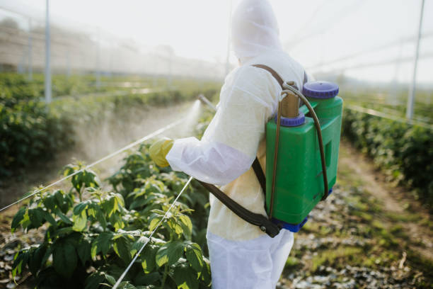 Best Insect Control  in Pleasantville, NY